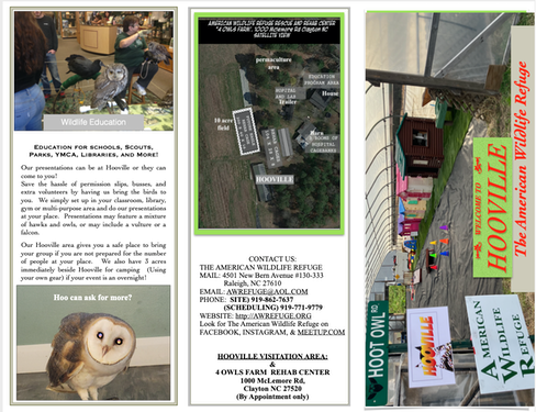 hooville flyer page 1 of 2